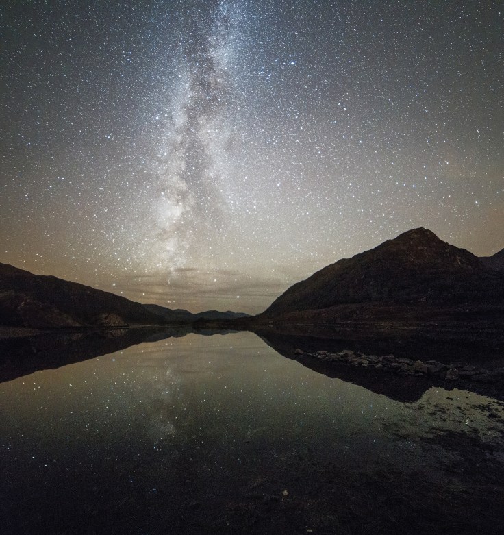 19-billy-dermody-stars