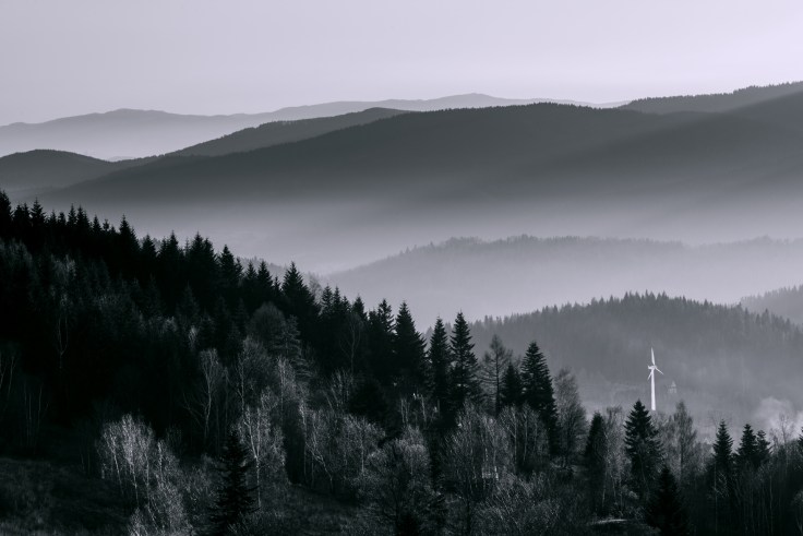 09-marek-hajdasz-image1