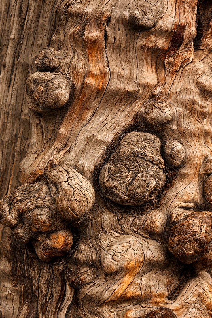 12-paul-garnett-a-knotty-problem